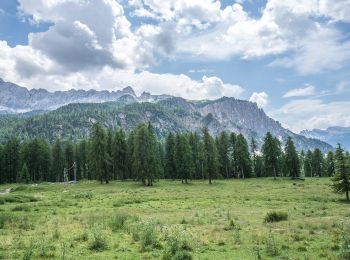 Trail On foot Cortina d'Ampezzo - Sentiero C.A.I. 211 - Photo