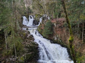 Trail Walking Sapois - balade Vosges  - Photo