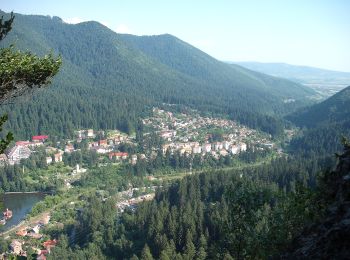 Randonnée A pied Inconnu - oraș Băile Tușnad - Pilișca Mare - Photo
