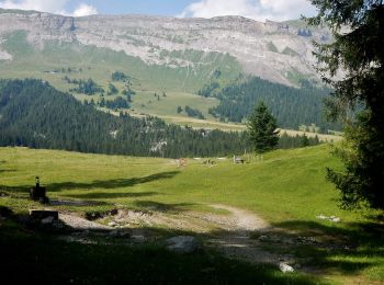Trail On foot Flims - Cassons - Segnes - Runca - Photo