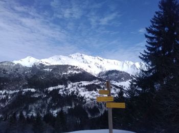 Excursión Esquí de fondo Montsapey - pas de Freydon - Photo