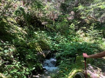 Excursión Senderismo Aime-la-Plagne - Le chemin du Grand Bief à Granier (Savoie) - Photo