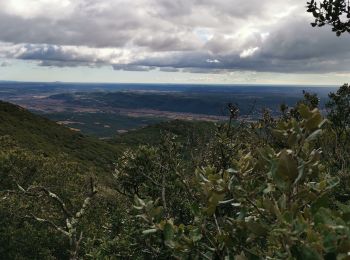 Tour Wandern Saint-Chinian - Saint Chinian antenne  - Photo