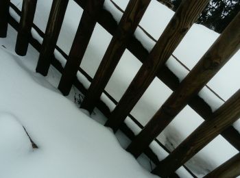 Tocht Sneeuwschoenen Bellefontaine - Bellefontaine-Chalet Gaillard - Photo