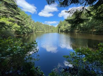 Randonnée sport Lamazière-Basse - Lamaziere Basse - Photo