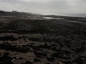 Tocht Wegfiets Saint-Denis-d'Oléron - ile d'oleron  - Photo