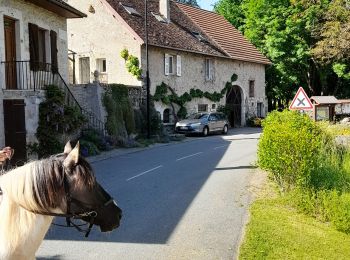 Trail Horseback riding Vongnes - lavour aprem - Photo