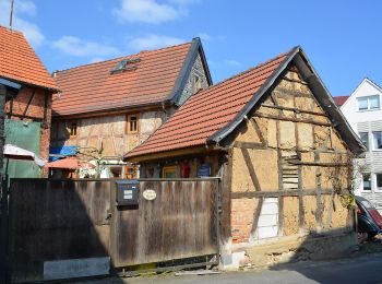 Tour Zu Fuß Niedernhausen - Apfelwein- & Obstwiesenroute - Photo