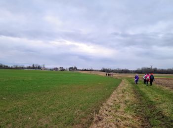 Trail Walking Dhuys et Morin-en-Brie - Fontenelle en Brie du 25-01-2024 - Photo