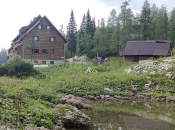 Tour Wandern Flitsch - Etape 3 : hut to hut  - Photo