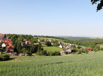 Excursión A pie Bad Pyrmont - Lügder Rundweg - Photo