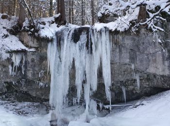 Randonnée Raquettes à neige Villard-de-Lans - Vercors La Fauge les Clots  - Photo