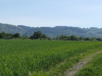 Tocht Stappen Escoutoux - 2022-05-10 Sainte Marguerite - Photo