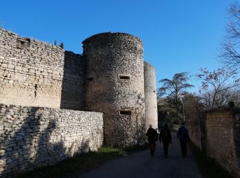 Randonnée Marche Cabrières-d'Avignon - le mur de la peste château petraque - Photo