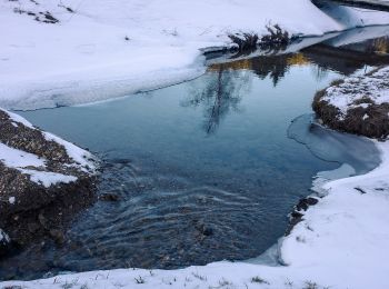 Tour Zu Fuß Fladnitz an der Teichalm - Gh. Holzmeister - Teichalmsee - Photo