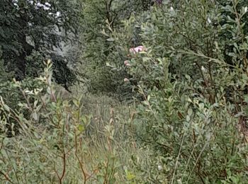 Randonnée Marche Senonches - marc - Photo