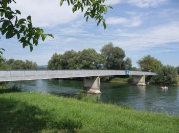 Tocht Te voet Merenschwand - Brücke Rickenbach - Brücke Mühlau - Photo