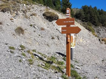 Tocht Stappen Roubion - Falcon a Roubion - Photo