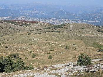 Excursión Senderismo Gréolières - Cretes du Cheiron - Photo