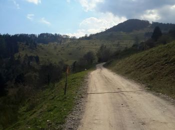 Trail Walking Wasserbourg - Tour du Petit Ballon et des fermes auberges - Photo