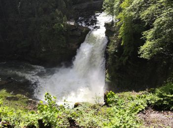 Excursión A pie Villers-le-Lac - 33-Saut du Doubs - Photo