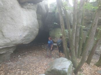 Trail Walking Nemours - Nemours Poligny - Photo