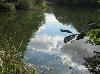 Tour Mountainbike Villiers-le-Bâcle - Circuit vélo étang la minière  - Photo