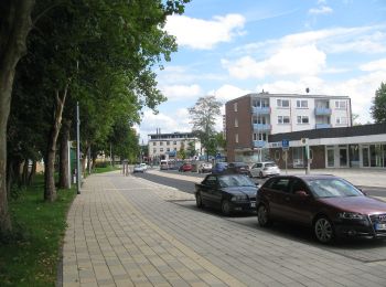 Tocht Te voet Habichtswald - Baunapfad - Photo