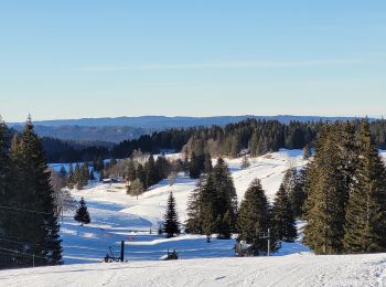 Randonnée Marche Saint-Cergue - Givrine en suisse - Photo