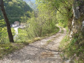 Randonnée A pied Capovalle - Capovalle - Passo di Vesta - Photo
