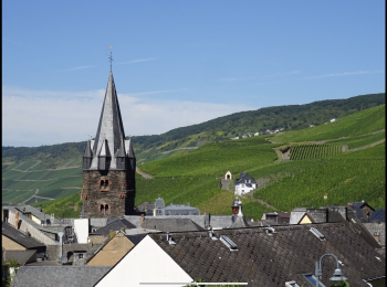 Tocht Stappen Bernkastel-Kues - Berncastel 15 Km - Photo