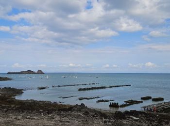 Tour Elektrofahrrad Saint-Malo - st malo cancale  - Photo