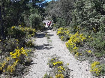 Randonnée Marche Aínsa-Sobrarbe - el grado Guaso Sierra puis voiture jusqu'à Sarratillo - Photo