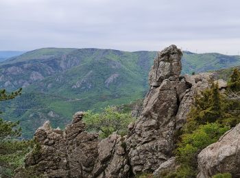 Tour Wandern Saint-Julien - Le tour des jasses : Bourdils Chavardes Landres Bramefan - Photo