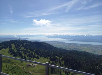 Trail Walking Prémanon - La Dôle 1677m 13.7.24 - Photo