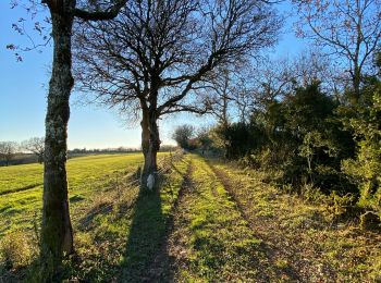 Tour Wandern Cabrerets - Merlan c - Photo