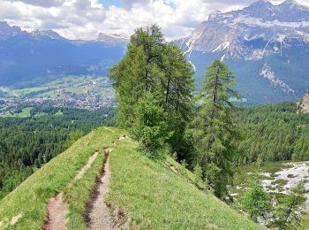 Trail On foot Cortina d'Ampezzo - IT-204 - Photo