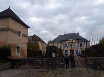 Randonnée Marche Avignonet - Circuit des 3 Châteaux - Photo