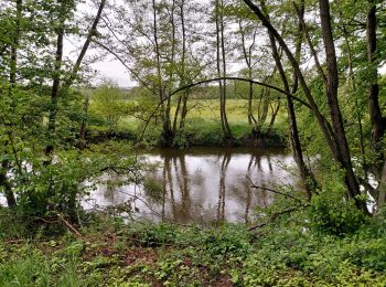 Tocht Stappen Rochefort - Jamblinne - Photo