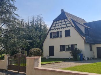 Tour Wandern Kingersheim - Rebbargala Wittenheim  - Photo