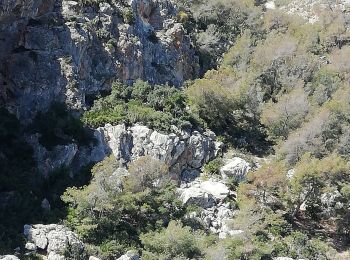 Tocht Kanoën - kajakken Almuñécar - Cuevas Piratas y de Las Palomas - Photo