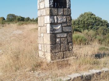 Trail Walking Les Mées - les mees. l oratoire st.antoine par les mourieses - Photo