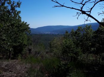 Trail Walking Urmatt - Urmatt Cascade du Soultzbach - Photo