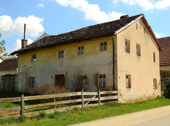 Percorso A piedi Greding - Greding 2 - Photo