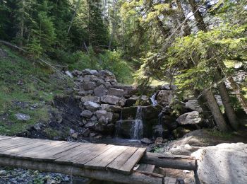 Trail Walking Allos - lac d'Allos. depuis la fontaine de Valplane - Photo