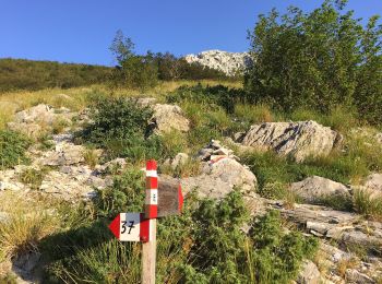 Randonnée A pied Vagli Sotto - Garfagnana Trekking - Tappa 4 - Photo