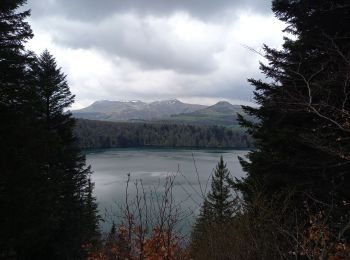 Randonnée Marche Besse-et-Saint-Anastaise - Lac Pavin 8.5.24 - Photo