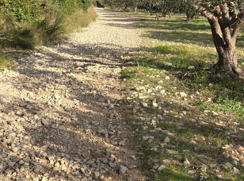 Tocht Stappen Aramon - les capitelles d'Aramon - Photo