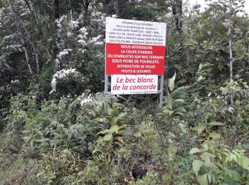 Excursión Senderismo Les Trois-Îlets - pagerie en boucle - Photo