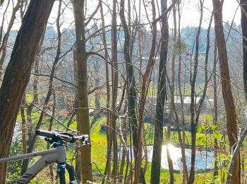 Trail Mountain bike Rambouillet - LA DROUETTE 34 KM - Photo